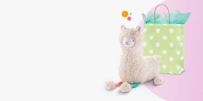 Llama baby clothes store target