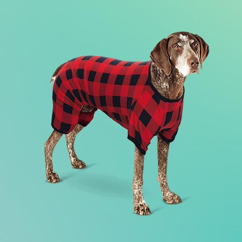 Holiday Buffalo Check Plaid Fleece Matching Family Dog and Cat Pajama with Sleeves - Wondershop™ Red XS