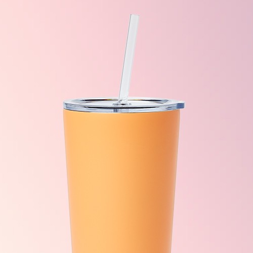 25oz Double Wall Stainless Steel Tumbler with Lid &  Straw Sun Orange - Room Essentials™