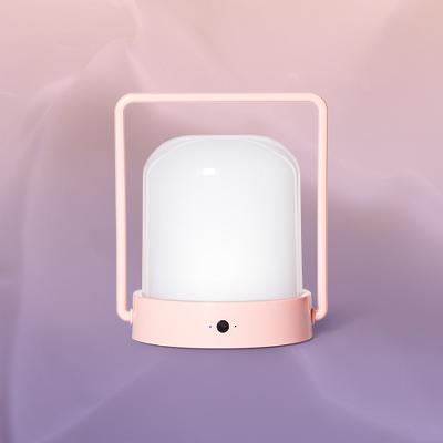 Portable Lantern - Pillowfort