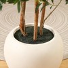 DR.Planzen 8ft Artificial Olive Tree with 18in White Planter, Faux Trees with Real Branches and Fruits and three-dimensional design for Home Decor - 4 of 4