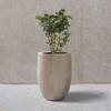 Rosemead Home & Garden Concrete Outdoor Planter Pot Beige 17"x17"x21.7" - 4 of 4