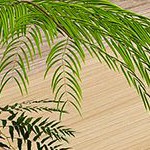 wood