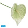 Unique Bargains Artificial Anthurium Lily Flowers for Home Decor 10 Pcs - 3 of 4