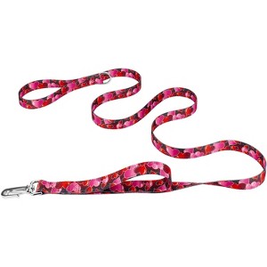 Country Brook Petz Deluxe Reflective Dog Leash 6 foot length - 1 of 4