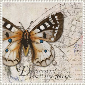 22"x22" Living your Dreams I Butterfly by Patricia Pinto Framed Canvas Wall Art Print White - Amanti Art: Modern Style, Polystyrene Frame - 1 of 4