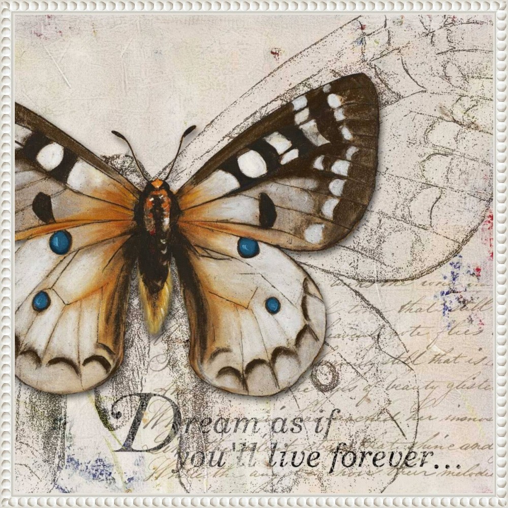 Photos - Other Decoration 22"x22" Living your Dreams I Butterfly by Patricia Pinto Framed Canvas Wall Art Print White - Amanti Art: Modern Style, Poly