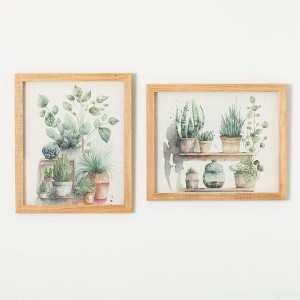 Sullivans Plant Shadow Box Wall Art Set of 2, 24"H & 20"H; Multicolor - 1 of 3