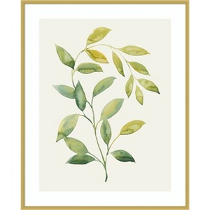 Amanti Art Wilted Vine I by Grace Popp Wood Framed Wall Art Print - 1 of 4