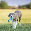 KONG Puppy Goodie Bone Dog Toy - S - 2 of 3