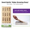 HAMAMA Microgreens Growing Kit - Sprouts Growing Kit, Grow Microgreens Indoor, Microgreens Starter Kit with CERAMIC Tray - 4 of 4