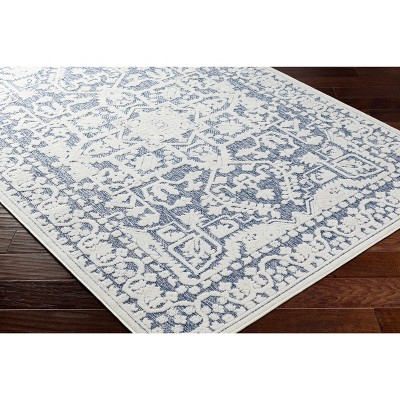 Hauteloom Mike Blue Outdoor Rug