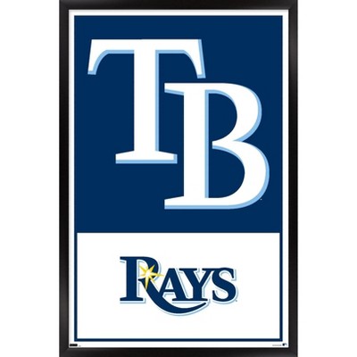 Mlb Tampa Bay Rays Baseball Logo Glass Framed Panel : Target