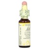 Bach Original Flower Remedies, Hornbeam, 0.35 fl oz (10 ml) - 4 of 4