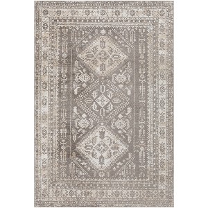 Livabliss 5'3"x7' Lavadora Traditional Machine Washable Rug Dark Brown - 1 of 4