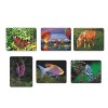 S&S Worldwide Aquapaintings Pk12 - 4 of 4