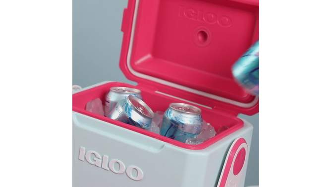 
Igloo Tag Along Too 11qt Hard Sided Cooler, 2 of 14, play video