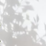 three-fork olive tree 180cm white explosion-proof pot hc-1382