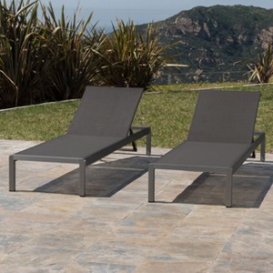 PAGED Lawn Chairs Pool Lounge Chairs Outdoor Adjustable Patio Lounge Chair for Patio, Pool, Beach, Lawn - 1 of 4