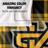 Kennesaw State University Campus Plaid Spirit Silky Touch Super Soft Throw Blanket 50x60 - 4 of 4