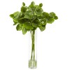 Nearly Natural Lotus Branch Arrangement - 2 of 4