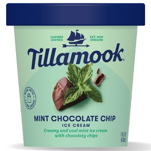 Tillamook Mint Chocolate Chip Frozen Ice Cream - 16oz - 1 of 4
