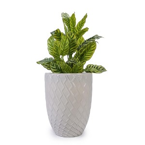 NAYSAYE Planter Ceramic Flowerpot Modern Design for Indoor Outdoor Garden, White, 16.54"*16.54"*21.26" - 1 of 4