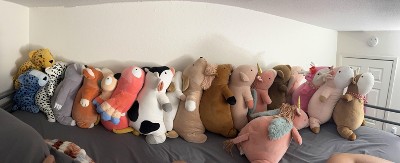 Guest review image 1 of 1, zoom in