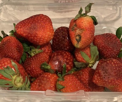 Guest review image 1 of 1, zoom in