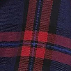 red and navy plaid