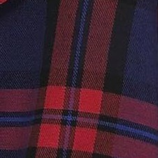 red and navy plaid