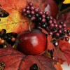 Northlight Apple and Berry Maple Leaf Twig Artificial Wreath, 22-Inch - 3 of 4