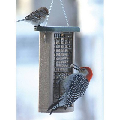 Birds Choice Bird 2-Cake Suet Feeder with Base Bird Feeder