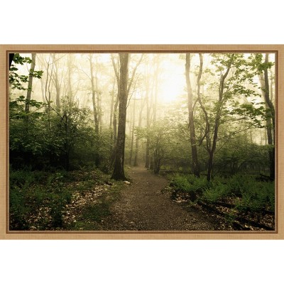 Sylvie Maple Framed Appalachian Trail Canvas Art Print