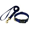 Country Brook Petz Deluxe Nylon Dog Collar and Leash - 2 of 4