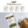 Organic Blackberry Leaf Cut & Sifted 1 Lbs - 3 of 4