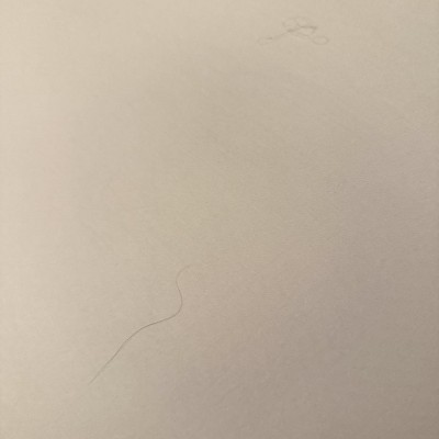 Guest review image 3 of 3, zoom in