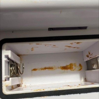 Guest review image 1 of 2, zoom in