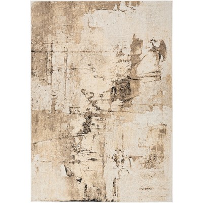 Nourison Washable Decor Abstract Modern Indoor Rug