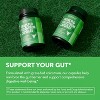 Grass Fed Colostrum Capsules, 1000mg Bovine Colostrum per Serving with 40% IgG Supplement for Immune and Gut Health, Havasu Nutrition, 120ct - 4 of 4