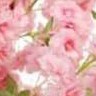 150cm 3-layered cherry tree