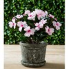 Allstate Floral New Guinea Impatiens Artificial Bush Spray - 13.75" - Light Pink - 3 of 4