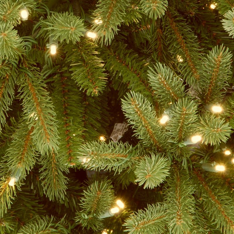 National Tree Company 4.5 ft. Jersey Fraser Fir Tree with Clear Lights, 4 of 7