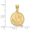 Black Bow Jewelry 14k Yellow Gold Florida State Seminoles NCAA Medium Pendant - 2 of 3