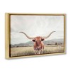 Stupell Industries Longhorn Portrait Open Meadow Floating Frame Canvas Art - 2 of 4