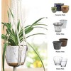 Aoibox 3 Pack Macrame Hanging Planter for Indoor Plants with 3 Hooks, Different Sizes for Boho Home Decor, Ivory (Pots Not Included) - 4 of 4
