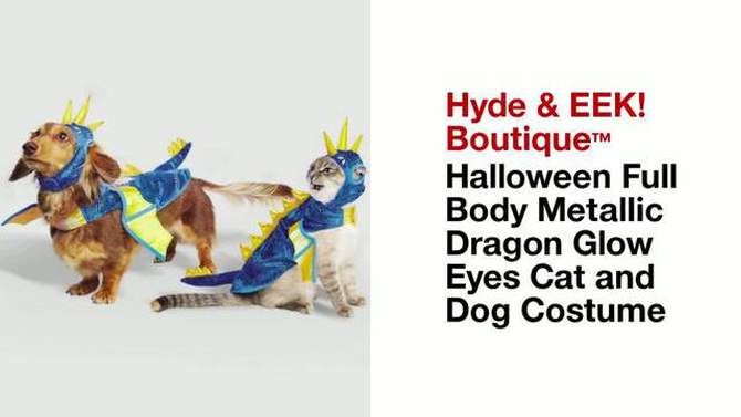 Halloween Full Body Metallic Dragon Glow Eyes Cat and Dog Costume - Hyde & EEK! Boutique™, 2 of 7, play video