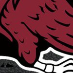 south carolina gamecocks