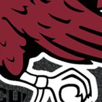 south carolina gamecocks