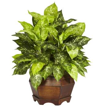 Nearly Natural 24-in Variegated Dieffenbachia w/Large Hexagon Silk Plant